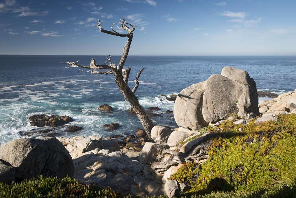Inn At Spanish Bay Pebble Beach Bagian luar foto
