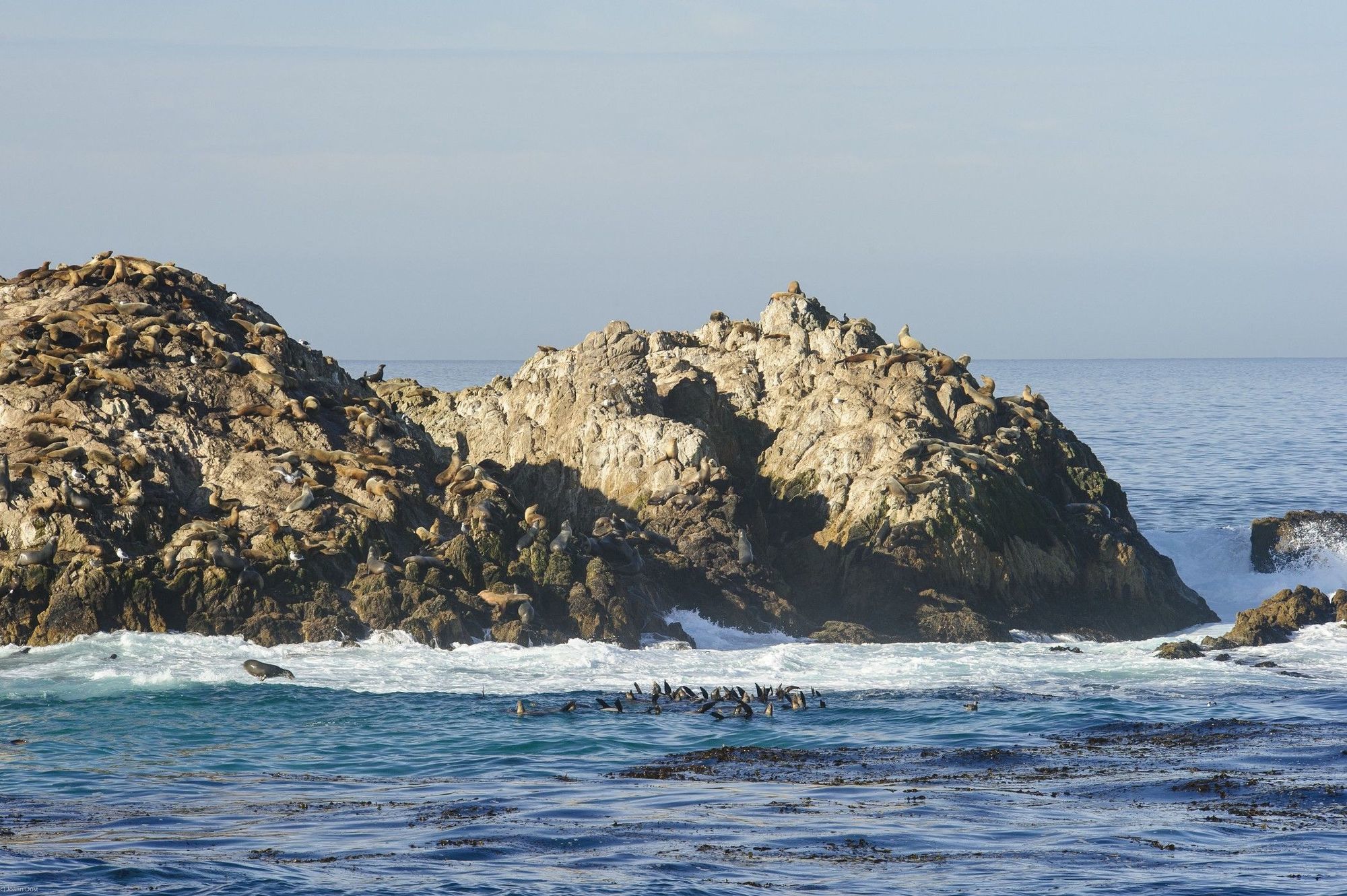 Inn At Spanish Bay Pebble Beach Bagian luar foto